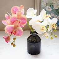 TT1006 Orkid Latex 6 Heads 9cm Artificial Flower Wedding Bunga Hiasan Home Deco Florist Decoration