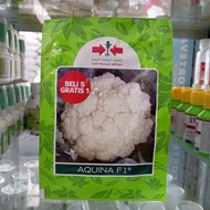 Benih Kembang Kol Aquina F1