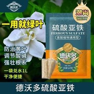 【樂樂屋】德沃多硫酸亞鐵花肥料喜酸植物梔子花茶花桂花水溶肥防黃葉家用肥