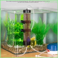 RAN Brine Shrimp Eggs Incubator Hatchery Live Artemia Cysts Hatchery Kit DIY Aquarium Fish Tanks Hatching Tool Accessory
