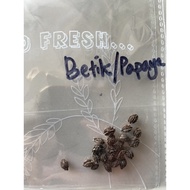 PAPAYA SEED（30biji)木瓜籽（30粒）Foot long Hong Kong breed papaya BIJI BENIH BETIK SEKAKI BIG HONG KONG PY