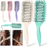Curly Hair Brush Hollow out Curl Define Styling Brush Beard Comb Styling Detangling Brush Multi-purp