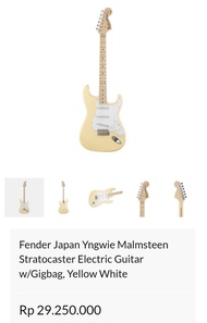 Fender Japan Yngwie malmsteen Stratocaster Electric Guitar w/Gigbag,YW