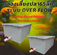 อ่างเลี้ยงปลา 65 ลิตร overflow ท่อสีฟ้า ขน่ด 64x44x31ซ. (กล่องสีขาวครีม) ระบบวาวล์ปิดเปิดน้ำได้ อ่าง