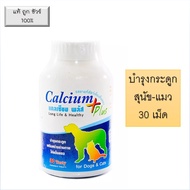 Calcium Plus อาหารเสริมสุนัข อาหารเสริมแมว แคลเซียม บำรุงกระดูก สุนัข แมว 30 เม็ด ( 1 กระปุก)