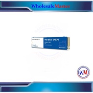 Western Digital WD Blue SN570 250GB WDS250G3B0C