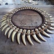 Bidayatul Dayak Necklace Ethnic Dayak Kalimantan Necklace Taring KW Resin material
