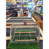 JEBAK BURUNG MURAI BATU/JEBAK MODEL KERANDA/BIRDS TRAPS