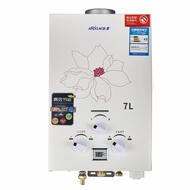 Flue Gas Water Heater Household Liquefied Hot Water Machine Thermostatic Digital Display Water Heater