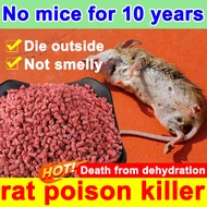 rat poison killer lason sa daga rat repellant rat killer for home rat poison for big rats mouse repe