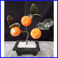 ✌ ஐ Kiat kiat Money Tree Charms Display