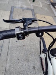 Electric bike