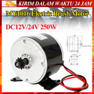 MY1016 Brushsed Motor 12V 24V 250W High Speed Small Brush Motor Pulley Electric Scooter Electric Bik