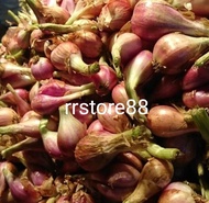 Bawang Sumenep asli 1kg / bawang goreng / bawang