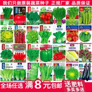 Spinach Lettuce Coriander Potted Plant Sowing Four Seasons Strawberry Seed Vegetables Farm Encyclope