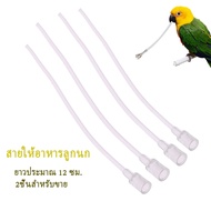 2ชิ้น 29บาท สายป้อน สายป้อนลูกนก สายป้อนอาหารนก สายให้อาหารลูกนก ปลายมน สายต่อไซริงค์ ยาว12cm