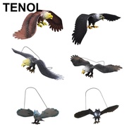 [TENOL] Simulated Eagle Model Eagle Statue Education Realistic Texture Play Decor Eagle