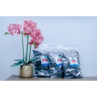 PREMIUM AROID MIX 8 ITEM