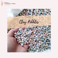 Add-On for Terrarium Kit • Clay pebbles for deco