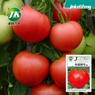 Manufacturer No. 4 Tomato Seeds Big Red Fruit Sand Tomato Seeds Fruit Vegetable Seeds Vegetable Seed