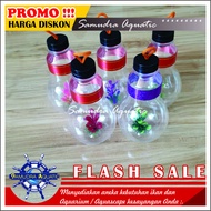Botol Mini Cupang Botol Soliter Ikan Hias