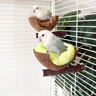 Coconut Shell Bird Nest Stand | Budgie Parrot Toy | Hatching Nest