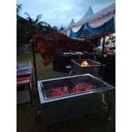 kambing golek akikah/kambing golek biasa