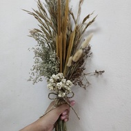 Buket lagurus dried flower bunga kering (buket ilalang lagurus)