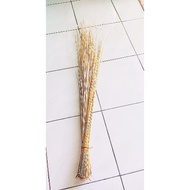 🍀READY STOCK🍀BROOMS Penyapu Lidi kelapa