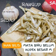 Ikan Bilis Mata Biru Belum Kopek 5A Size M (1KG/500G/250G) Ikan Bilis Pangkor | Ikan Bilis 1KG | Mat