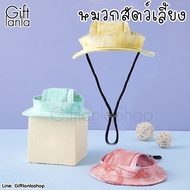 Dog Hats Cat And Pets