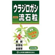 山本漢方製薬 ウラジロガシ 流石粒 240粒