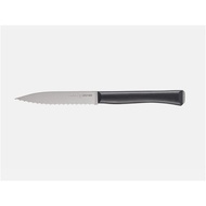 Opinel Intempora No 226 Paring knife