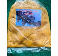 UMPAN PELET TS / TELUR IKAN SAPU SAPU ... SIAP PAKAI