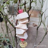 Salted Cuttlefish Bone Skewers Cuttlefish Bone Large Pieces Parrot Cockatiel Lovebird Hamster Pet Ch