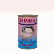 Cedmex Mexico Wild Abalone 墨国之星 1PCS