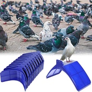 Wishlistforyou Pigeon Parrot Resting Stand Plastic Bird Perch Roost Platform for Bird Cage Pet Suppl