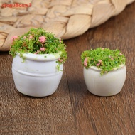 Ooo 1:12 Doll mini Furniture mini Accessories Bonsai Green Flower Pots
