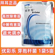 Germany Bayer Youcaile Bayer Bayer Bayer Bayer Bayer Bayer Bayer Bayer Bacteria Aquaculture Fish Shr