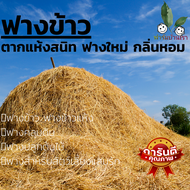 ฟางข้าว ฟางแห้ง ฟาง ORGANICARE แบ่งขายใส่ถุง ฟางข้าว ฟางข้าวแห้ง ฟางคลุมดิน ฟางปลูกต้นไม้ บรรจุแบบถุ