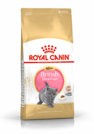 Royal Canin British Short Hair Kitten (2kg)