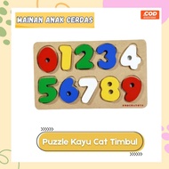 Educational Toys Wooden Puzzle Paint Numbers Raised 0-9 Number Recognition Toys