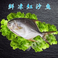【賣魚的家】鮮凍紅沙魚(3尾組)