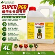 Super PGR 4 Liter ( Hormon / Penggalak Buah Pokok NANAS [ Ready Stock ]