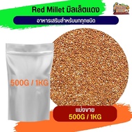 มิลเล็ตแดง Red Millet(แบ่งขาย 500G / 1KG)
