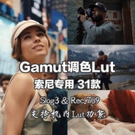 🎥 Sony Gamut LUTs (31 Presets) – For FX3, FX6, FX30, A6700, A7C2, ZV-E1 [MICHIGO STUDIO]