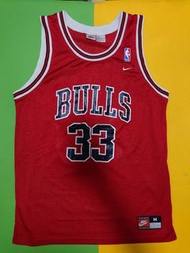 Nike Pippen Jersey Size: M