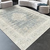 Area Rug 7x9, Washable Gray Vintage Rug, Traditional Floor Cover Thin Rug, Retro Indoor Distressed N