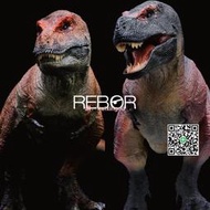 Rebor科學暴龍霸王龍侏羅紀pvc恐龍模型玩具收藏擺件嘴可動男  天  全臺最大物