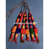 Braid Whip, Horse Whip, Whip, Whip